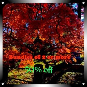 50% off Bundles